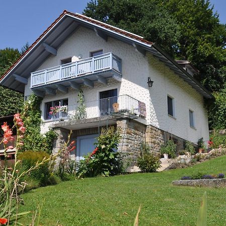 Ferienwohnung Regentalblick Miltach Экстерьер фото