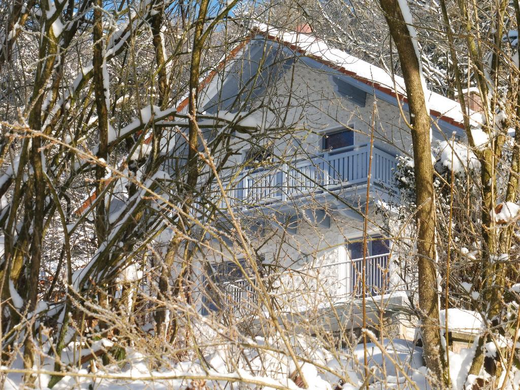 Ferienwohnung Regentalblick Miltach Экстерьер фото