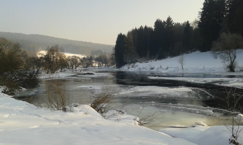 Ferienwohnung Regentalblick Miltach Экстерьер фото