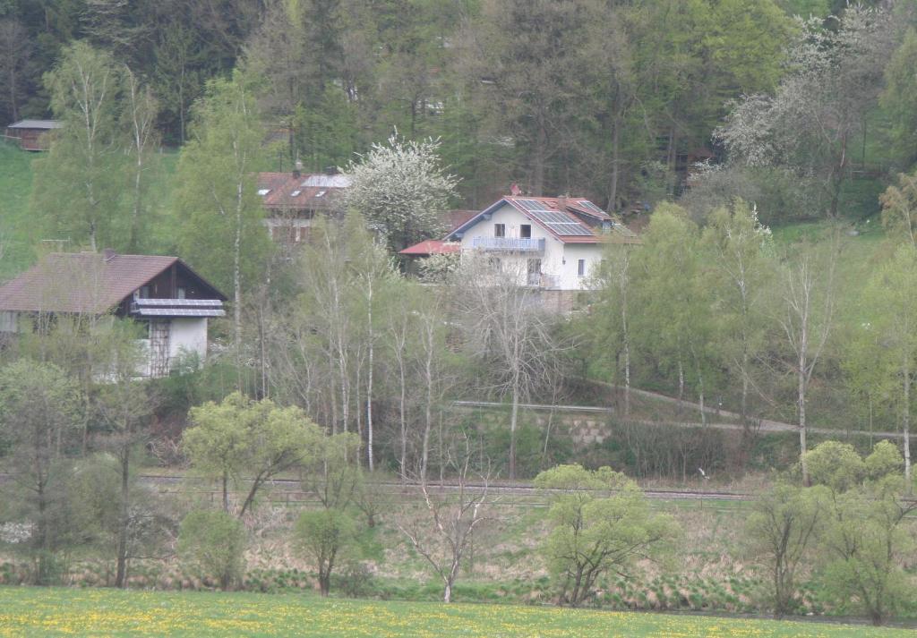 Ferienwohnung Regentalblick Miltach Экстерьер фото